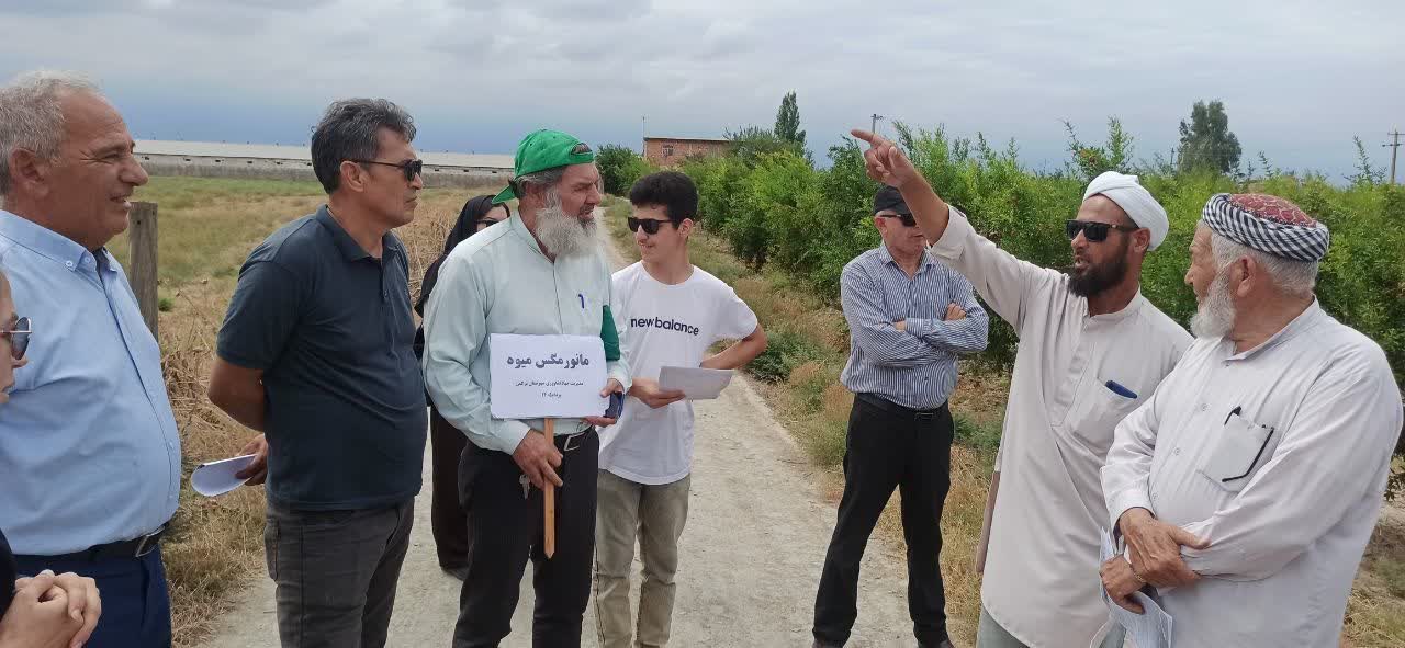 گزارش تصویری | مانور سراسری مبارزه با مگس میوه مدیترانه‌ای، همزمان در ۱۴ شهرستان گلستان